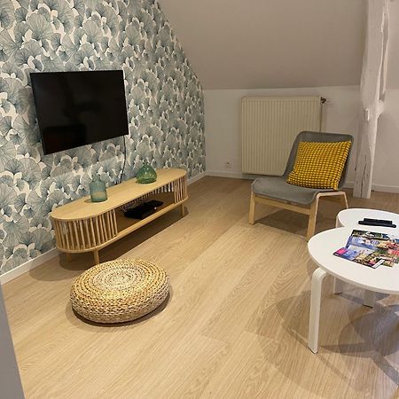 Family Loft A 5Minutes Du Zooparc De Beauval Βίλα Châteauvieux Εξωτερικό φωτογραφία