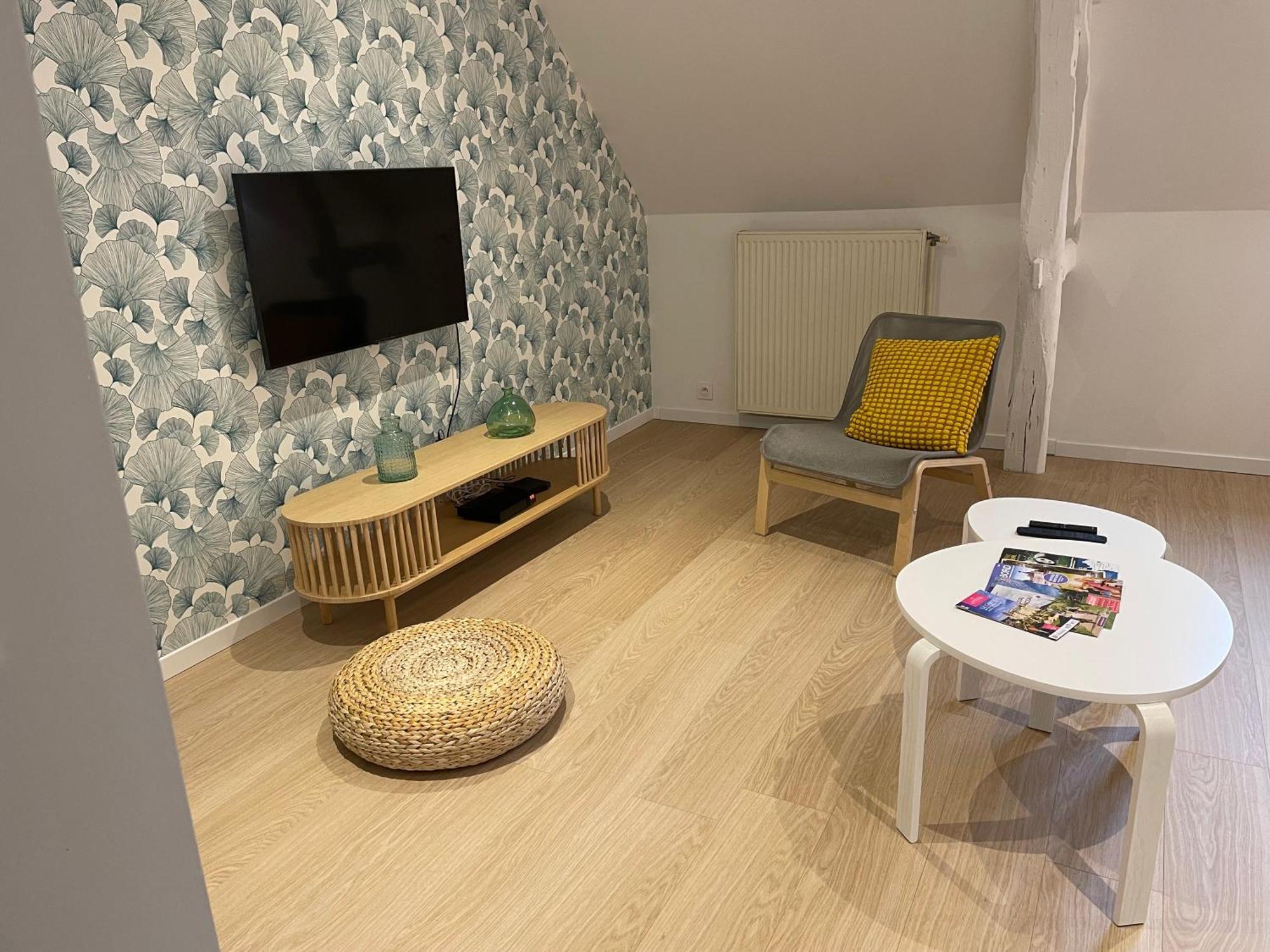 Family Loft A 5Minutes Du Zooparc De Beauval Βίλα Châteauvieux Εξωτερικό φωτογραφία